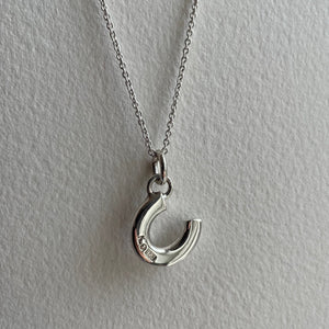 The Horseshoe Necklace